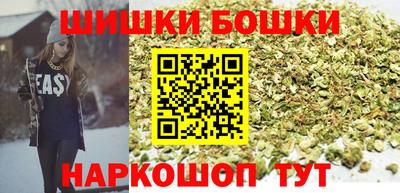 гидра Заводоуковск