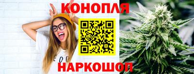 гидра Заводоуковск