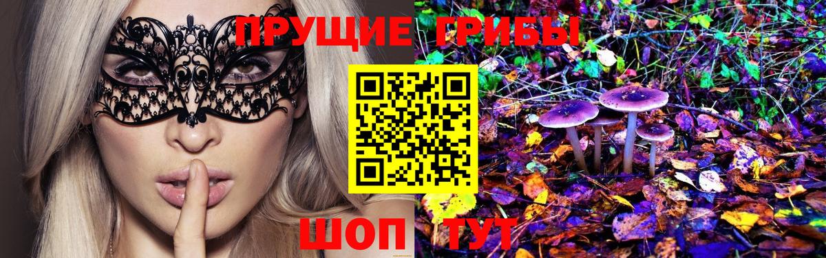 Удомля  Галлюциногенные грибы ЛСД  Вход с VPN 