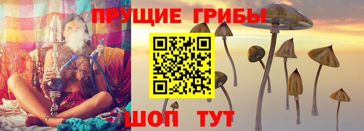 Псилоцибиновые грибы GOLDEN TEACHER Удомля